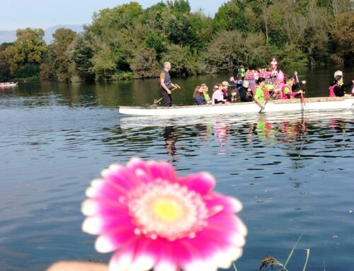 DRAGONBOAT E CANOE, AL FESTIVAL DELLA BURIDA “SFILANO” IN 200